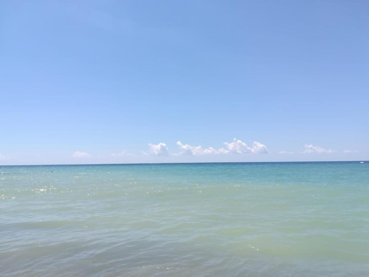 La Ceiba Speciosa Bed and Breakfast Capaccio Εξωτερικό φωτογραφία